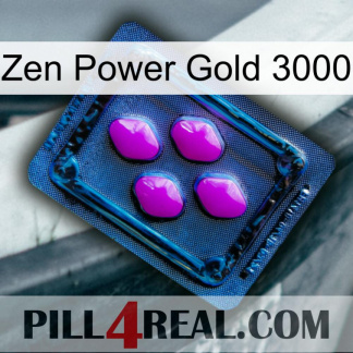 Zen Power Gold 3000 04